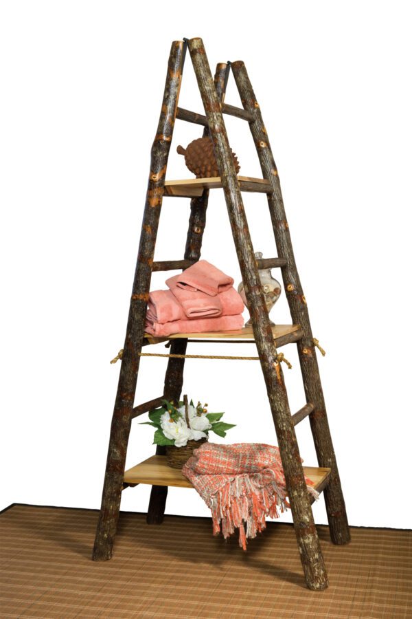 Showcase Ladder